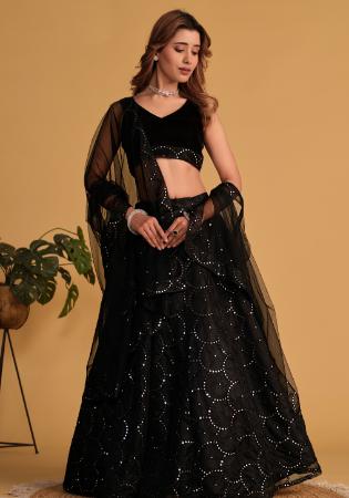 Picture of Taking Georgette & Organza Black Lehenga Choli