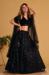 Picture of Taking Georgette & Organza Black Lehenga Choli