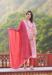 Picture of Georgette & Silk Rosy Brown Readymade Salwar Kameez