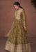 Picture of Organza Dark Olive Green Anarkali Salwar Kameez