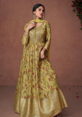 Picture of Marvelous Organza Tan Anarkali Salwar Kameez