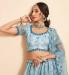 Picture of Appealing Net Light Steel Blue Lehenga Choli