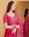 Picture of Grand Net Hot Pink Saree