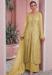 Picture of Georgette & Net Dark Khaki Straight Cut Salwar Kameez