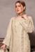 Picture of Georgette & Net Beige Straight Cut Salwar Kameez