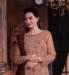 Picture of Admirable Net Rosy Brown Straight Cut Salwar Kameez