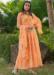 Picture of Fine Georgette Sandy Brown Readymade Gown