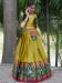 Picture of Shapely Silk Dark Khaki Lehenga Choli