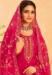 Picture of Organza Light Coral Straight Cut Salwar Kameez