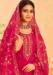 Picture of Organza Light Pink Straight Cut Salwar Kameez