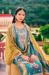 Picture of Chiffon & Silk Steel Blue Straight Cut Salwar Kameez