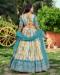 Picture of Taking Chiffon Dark Khaki Lehenga Choli