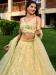 Picture of Admirable Net Burly Wood Lehenga Choli