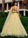 Picture of Admirable Net Burly Wood Lehenga Choli