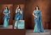 Picture of Fine Net & Silk Dark Slate Blue Saree