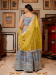 Picture of Bewitching Georgette & Net Slate Grey Lehenga Choli