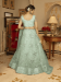 Picture of Georgette & Net Dark Sea Green Lehenga Choli