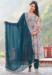 Picture of Georgette & Silk Light Grey Readymade Salwar Kameez