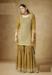 Picture of Beautiful Chiffon Peru Straight Cut Salwar Kameez