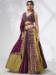 Picture of Pretty Chiffon & Silk Sienna Lehenga Choli