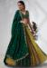 Picture of Shapely Chiffon & Silk Sienna Lehenga Choli