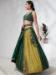 Picture of Shapely Chiffon & Silk Sienna Lehenga Choli