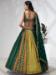 Picture of Shapely Chiffon & Silk Sienna Lehenga Choli