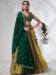 Picture of Shapely Chiffon & Silk Sienna Lehenga Choli