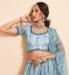 Picture of Appealing Net Light Steel Blue Lehenga Choli