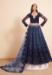 Picture of Nice Net Dark Slate Grey Lehenga Choli