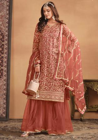 Picture of Pleasing Net Sienna Straight Cut Salwar Kameez