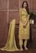 Picture of Georgette & Net Dark Khaki Straight Cut Salwar Kameez