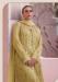 Picture of Georgette & Net Dark Khaki Straight Cut Salwar Kameez