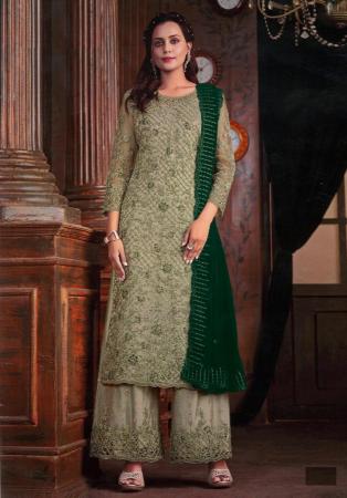 Picture of Net Dark Sea Green Straight Cut Salwar Kameez