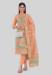 Picture of Marvelous Silk Tan Straight Cut Salwar Kameez