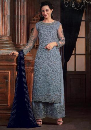 Picture of Net Light Slate Grey Straight Cut Salwar Kameez