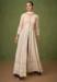 Picture of Resplendent Georgette & Net Tan Anarkali Salwar Kameez