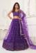 Picture of Delightful Net Purple Lehenga Choli