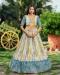 Picture of Taking Chiffon Dark Khaki Lehenga Choli