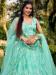 Picture of Bewitching Net Powder Blue Lehenga Choli