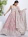 Picture of Beautiful Net Thistle Lehenga Choli