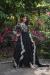 Picture of Good Looking Georgette Black Readymade Gown