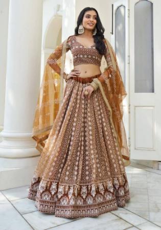 Picture of Marvelous Net Sienna Lehenga Choli