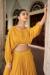 Picture of Pleasing Georgette Golden Rod Lehenga Choli