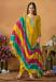 Picture of Chiffon & Silk Golden Rod Straight Cut Salwar Kameez