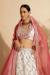 Picture of Beauteous Organza Ghost White Readymade Lehenga Choli