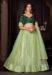 Picture of Charming Net & Silk Dark Khaki Lehenga Choli