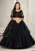 Picture of Beautiful Georgette & Net Black Lehenga Choli