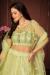 Picture of Resplendent Net Sandy Brown Lehenga Choli