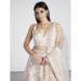 Picture of Excellent Net Thistle Lehenga Choli